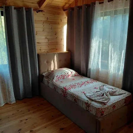 Krahinaeshllakut Shkodër